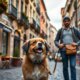 Att resa med din hund i Europa